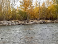 Ихэнх гол мөрний мөсөн бүрхүүл 12 дугаар сарын эхний арав хоногт тогтох төлөвтэй байна