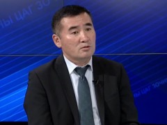 Хуш мод нь 615 мянган га-д ургаж манай орны ойн нөөцийн таван хувийг эзэлдэг