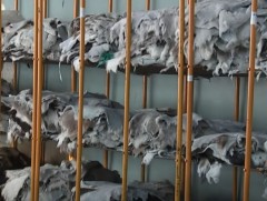 Хөдөө аж ахуйн биржийн арилжаа идэвхжиж байна