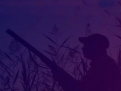 Амьтан хууль бусаар агнах гэмт хэргийн тохиолдол буурахгүй байна