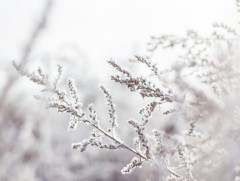 ЦАГ АГААР: Улаанбаатарт өдөртөө 5 хэм хүйтэн