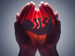 2024 онд улсын хэмжээнд үр хөндөлтийн 13000 орчим тохиолдол бүртгэгджээ