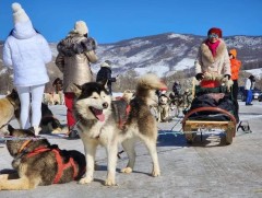 Манай улсад энэ онд 850 мянган жуулчин иржээ