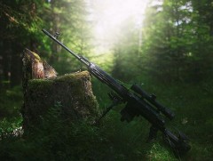 Энэ сарын 4-нөөс өмнө галт зэвсгээ үзлэг тооллогод хамруулбал торгууль төлөхгүй байх боломжтой 