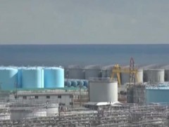 Япон улс дэлхийн хамгийн том атомын цахилгаан станцыг дахин ажиллуулж эхэлнэ