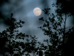 ЦАГ АГААР: Улаанбаатарт шөнөдөө 26 хэм хүйтэн 