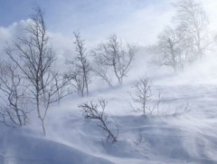 Баасан гарагт ихэнх нутгаар хүйтний эрч чангарна