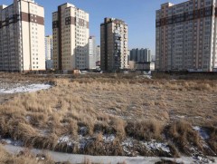 Ногоон нуур, Гандан орчимд ногоон байгууламж байгуулна