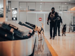 2026-2030 онд мансууруулах бодистой холбоотой гэмт хэрэг өсөх хандлагатай байна