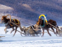 2026 онд Монгол Улс 1 сая жуулчин хүлээж авахаар төлөвлөж байна