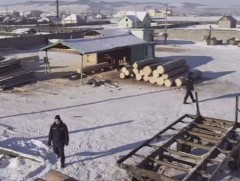 ЦЕГ:  Сэлэнгэ аймгийн Хүдэр суманд хууль бусаар мод бэлтгэж байсан зөрчлийг илрүүлжээ