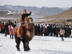 12 хоногт 21 мянган жуулчин Монгол Улсыг зорин иржээ