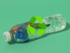 Бидний нэг үйлдэл байгальд үнэ цэнтэй