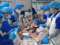 Ж.Дуламсүрэн: Махны үнийг тогтворжуулах зорилгоор нөөцийн махны борлуулалтыг өнгөрсөн жилээс эрт э..