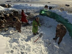 Цэргийн алба хаагчид Халхгол сумын 50 гаруй малчдад туслаад байна