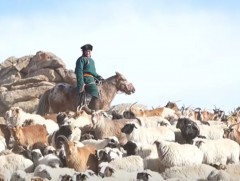 Хайрхандулаан сумын малчин Д.Сэрдамбын гэр бүл 