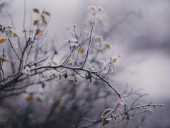 ЦАГ АГААР: Улаанбаатарт өдөртөө 5 хэм хүйтэн