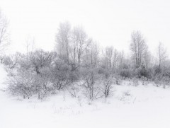 ЦУОШГ: 11 аймгийн 56 сумын нутаг цагаан зудтай байна