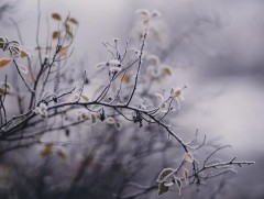 ЦАГ АГААР: Ихэнх нутгаар цаг агаар тогтуун байна