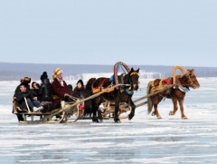 ЭЗХЯ: Аялал жуулчлалын бизнес эрхлэгчдэд 6 хувийн хүүтэй зээл олгоно 