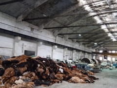 Ямааны арьс, тэмээний ширээс бусад нь үнэгүй шахуу байна