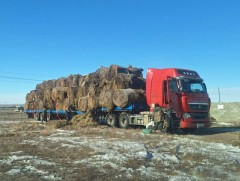 Сумдад өвс, тэжээл олгож байна