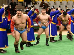 “Алтан цом”-ын барилдаанд Апу, Скайтел, Од групп багууд тус бүр дөрөв дэх ялалтаа авчээ