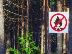 Ой, хээрийн түймрээс сэргийлье