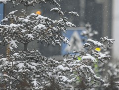 Ирэх 10 хоногийн цаг агаарын урьдчилсан төлөв