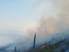 Гурван аймагт ой хээрийн түймэр гарчээ