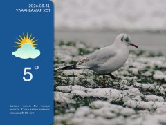 ЦАГ АГААР:  Улаанбаатарт өдөртөө 5 хэм дулаан
