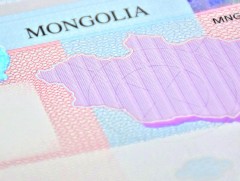 Манай улс гадаадын 5856 иргэнд визийн зөвшөөрөл олгожээ