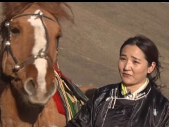 О.Дээшинбаяр дэлхийн хамгийн эрэлттэй мэргэжил болох дата аналистаар сумандаа ажиллаж байна