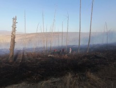 ОБЕГ: Он гарсаар 10 удаагийн ой, хээрийн гал түймэр гарч урьдчилсан байдлаар 6410 га талбай өртсөн