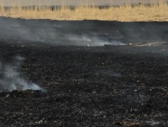 Сүхбаатар аймагт гарсан хээрийн түймрийг бүрэн унтраажээ