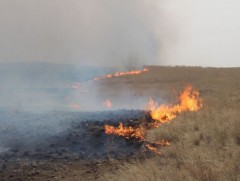 Ой хээрийн түймэр тавьсан хэргийг шүүхээр шийдвэрлүүлжээ