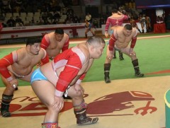 Аварга цолны хүндэтгэлийн барилдаанд зодоглох бөхчүүд