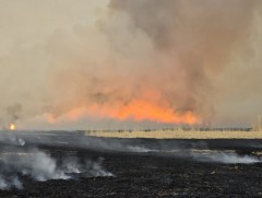 Ой хээрийн түймрийн аюулаас сэрэмжлүүлж байна