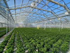 Хүлэмж барихад зориулж урт хугацаатай хүүгүй зээл олгоно