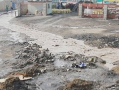 Нийслэл хотын хөрсөнд хүнд металлын бохирдол 7-20 дахин их байна