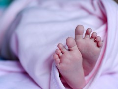 Төрөлт 5.7 хувиар буурчээ   