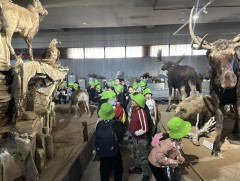 Байгалийн шинжлэх ухааны үндэсний музей Хүүхдийн баяраар ажиллана 