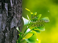 Ирэх арав хоногт цаг агаар ямар байх вэ...