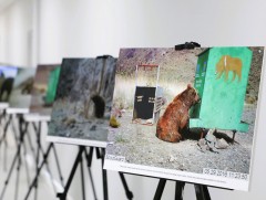 Мазаалай баавгайг хамгаалах ажилд хувь нэмэр оруулж буй хамт олонд талархал илэрхийллээ
