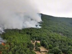 Байгалийн гамшигт өртсөн Испани улс Уур амьсгалын өөрчлөлттэй тэмцэх зөвлөл байгуулна 