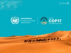 COP17: Монголын загвар, ноолуурын салбарыг онцолсон хоёр шоу болно