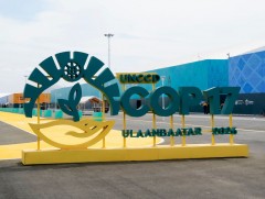 COP17-ийн үеэр Нийслэлийн 17 чиглэлд тусгай үйлчилгээ зохион байгуулна