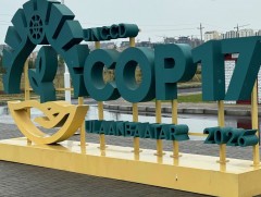 COP17 хурлын үеэр 5 дүүргийн 73 цэцэрлэг, 60 сургуульд зохицуулалт хийнэ